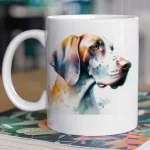 chasha-english-pointer-003