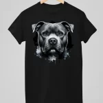 cherna-teniska-pitlbul-2