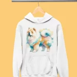 suichur-chao-chao-004